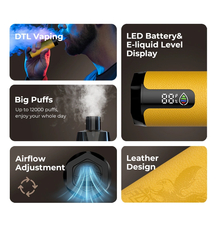 DTL Disposable Vape, Große Züge bis zu 12.000, LED-Anzeige für Batterie und Liquid, Luftstrom einstellbar, Lederdesign