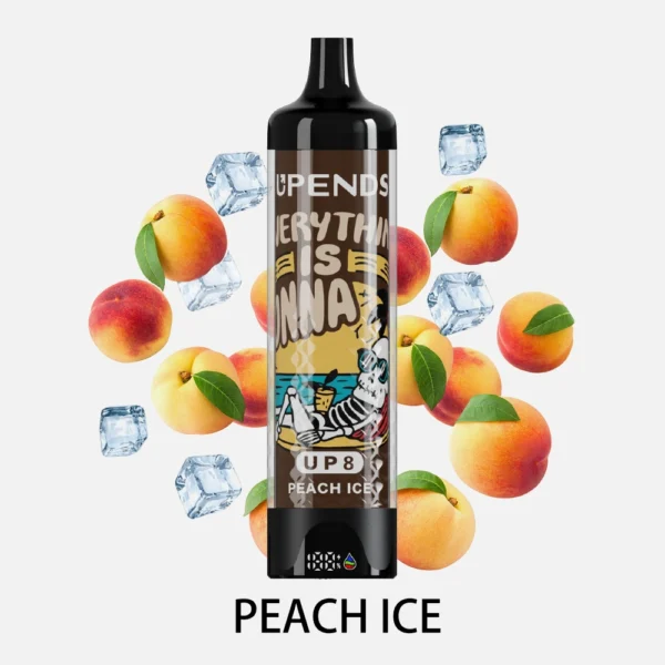 UPENDS UP8 – 60000 Züge, Peach Ice