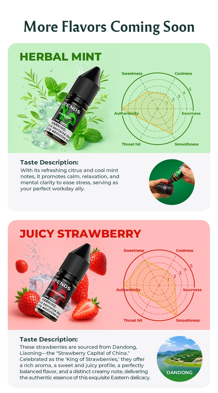 Herbal Mint – Zitrus und kühle Minze für Ruhe, Entspannung und mentale Klarheit, Juicy Strawberry – Dandong-Erdbeeren, süß, saftig, aromatisch, cremige Note
