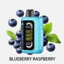 CD30000-Blueberry Raspberry