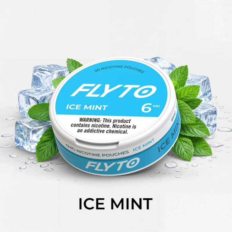 FLYTO Nikotinbeutel – 6mg, Ice Mint