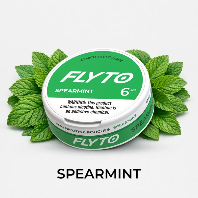 FLYTO Nikotinbeutel – 6mg, Spearmint