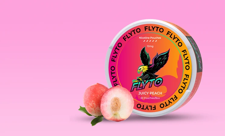 Flyto Nikotinbeutel Neuerscheinung