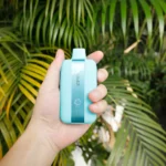 kann hotel vaping erkennen